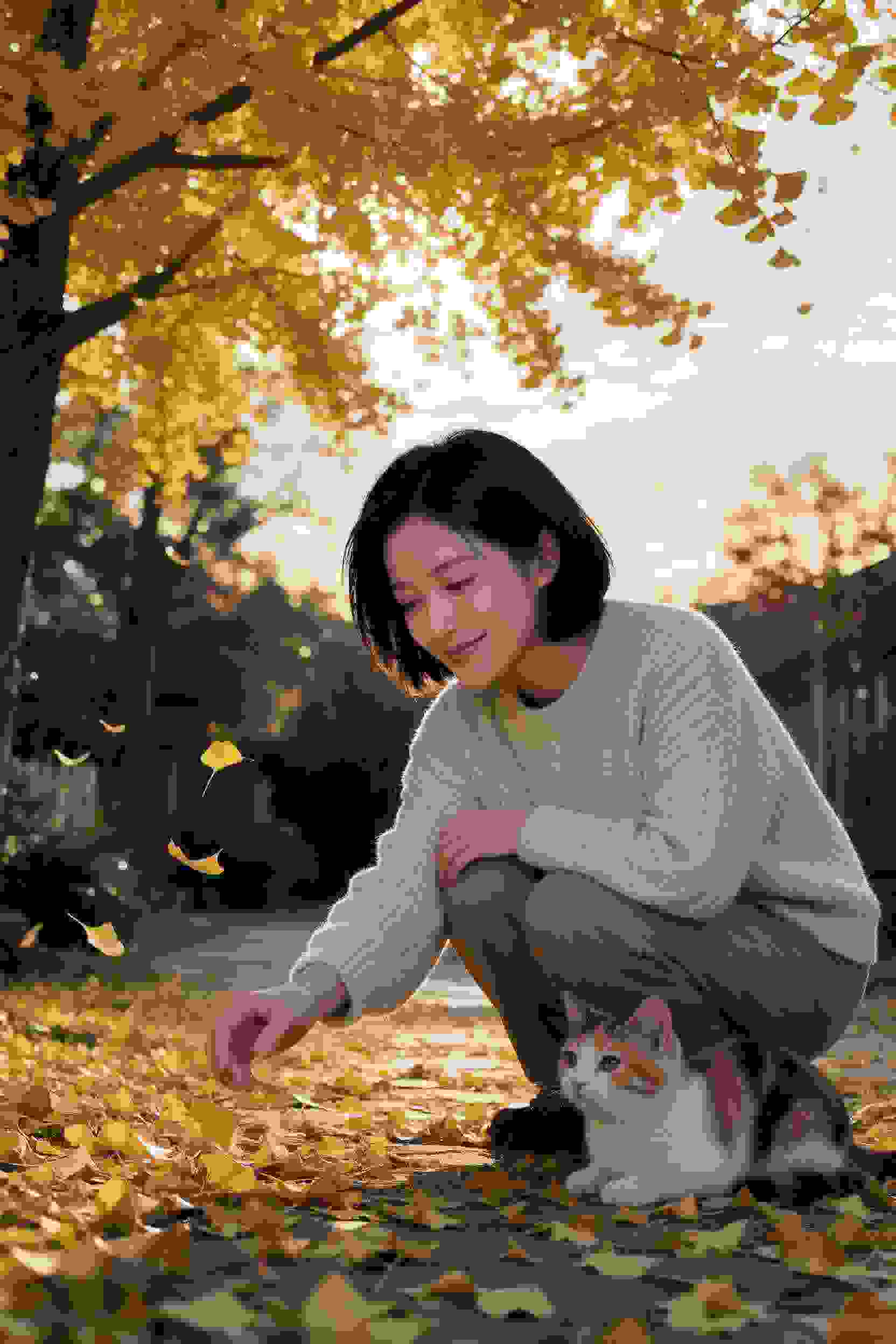 失落的24小时